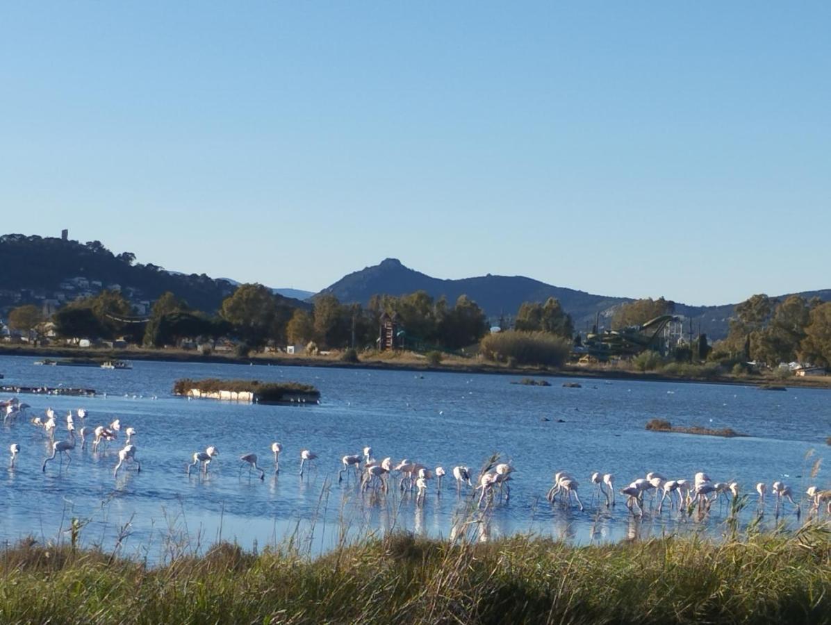 Le Surplage Hyères Buitenkant foto