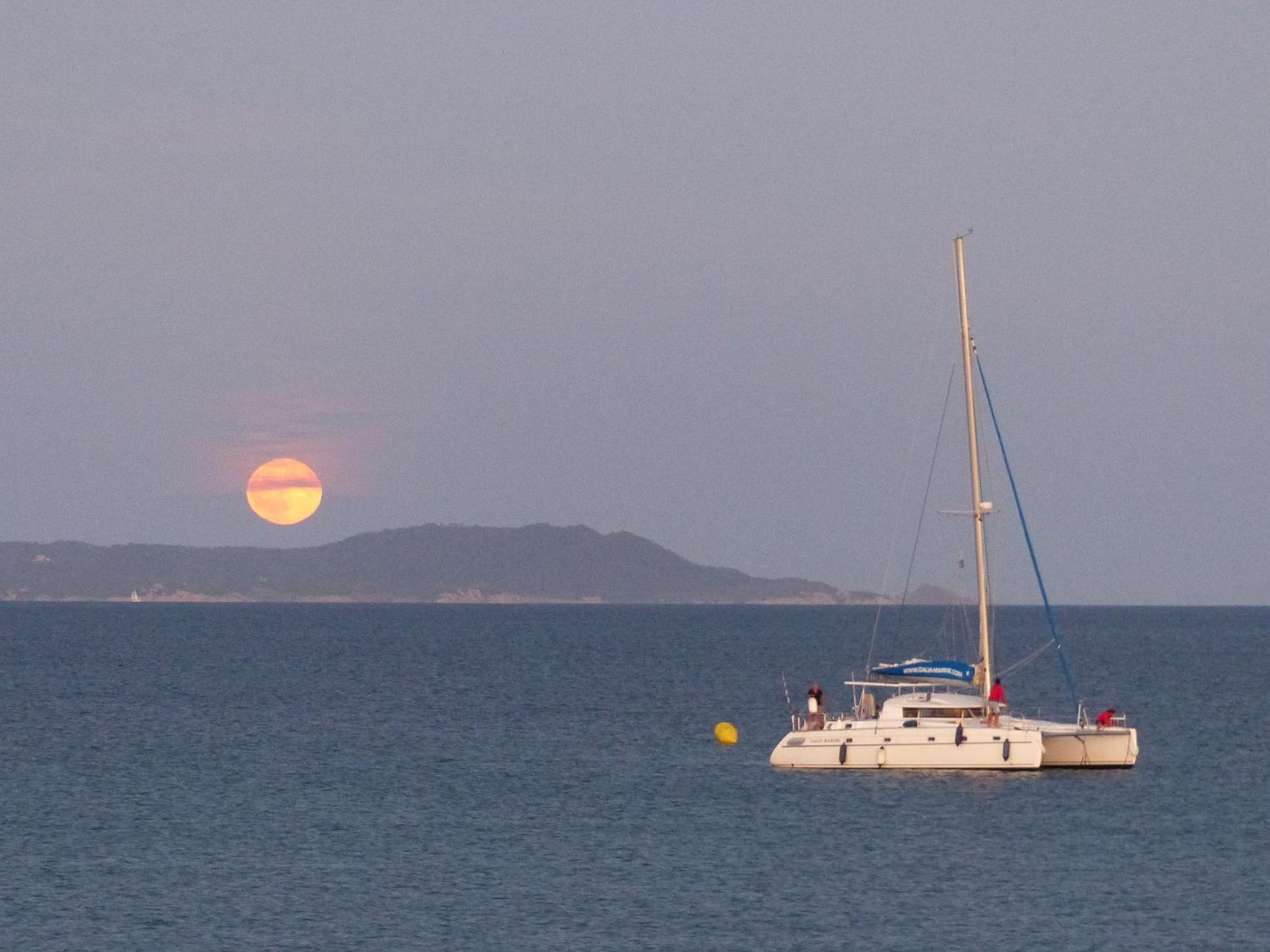 Le Surplage Hyères Buitenkant foto