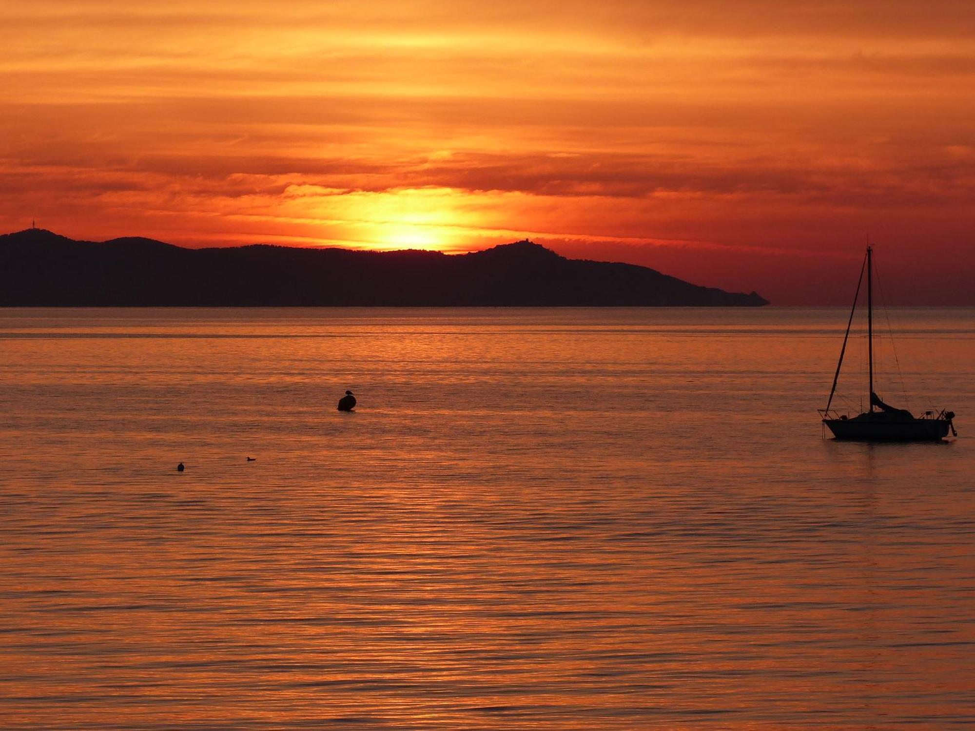 Le Surplage Hyères Buitenkant foto